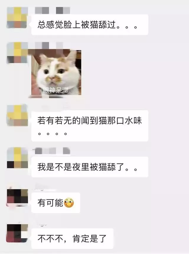 如果舔一下貓,貓會有什麼反應?
