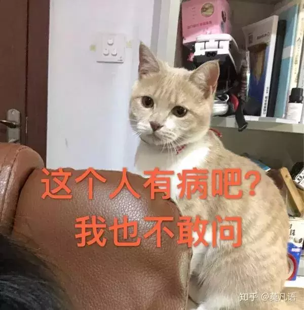 如果舔一下貓,貓會有什麼反應?