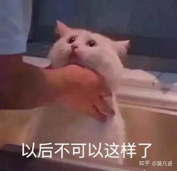 如果舔一下貓,貓會有什麼反應?