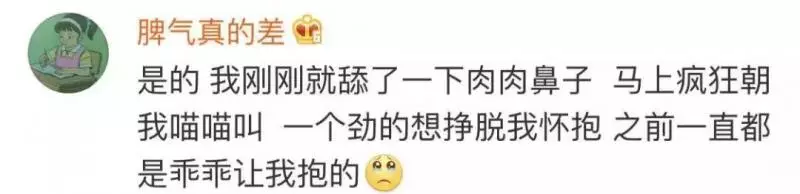 如果舔一下貓,貓會有什麼反應?
