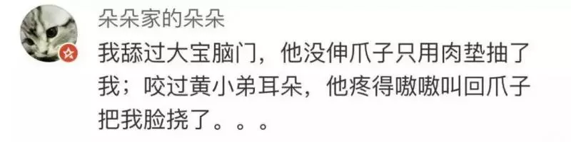 如果舔一下貓,貓會有什麼反應?