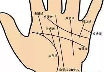 不缺錢的手相,尤其是第一個,富貴命格,更是一生不缺錢
