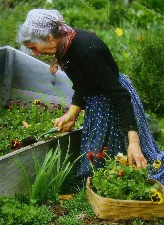 92歲活成仙女模樣!她57歲隱居山林「沒電沒自來水」 荒野生活「卻像美麗油畫」傳授秘訣人人羨
