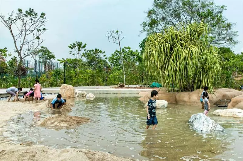 新加坡裕廊湖畔花園開放,將有100多場免費活動,趕快帶孩子去親近自然吧~