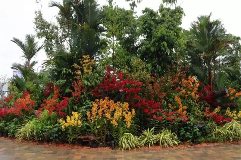 新加坡裕廊湖畔花園開放,將有100多場免費活動,趕快帶孩子去親近自然吧~