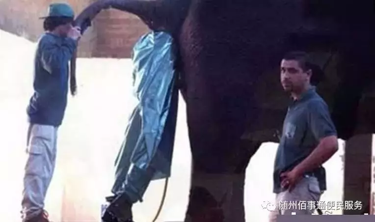 你沒見過的這些工作,最後一個太可怕!