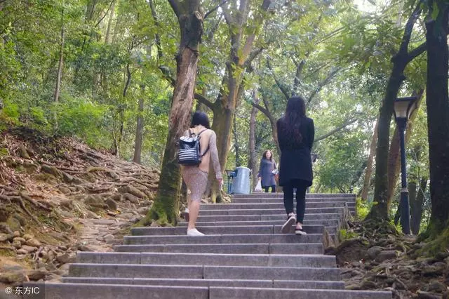一家人春遊爬山,去了趟廁所出來,我讓老公第二天民政局門口見!