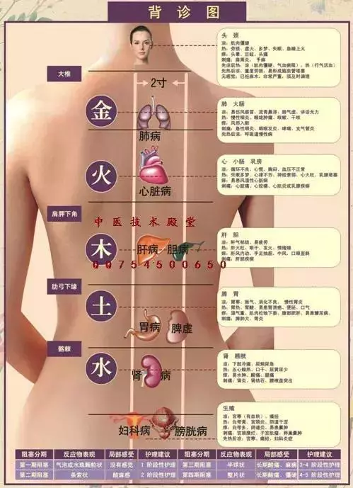 中醫背診!(很強大)