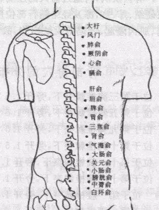 中醫背診!(很強大)