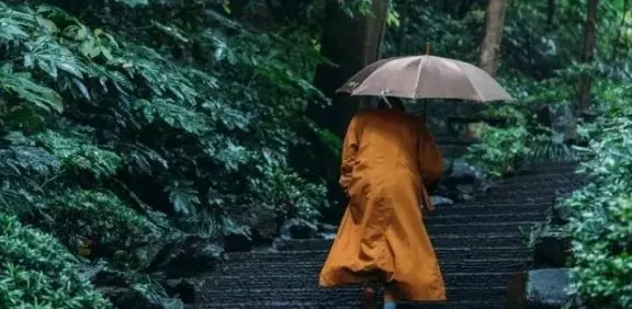 命里有時終須有,命里無時莫強求