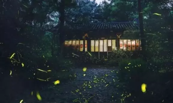 命里有時終須有,命里無時莫強求