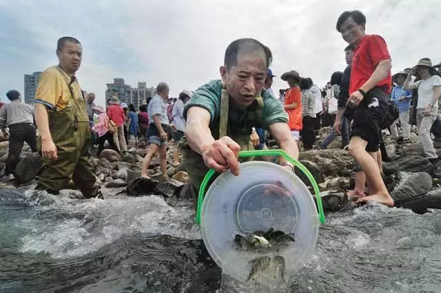 離家僅十尺!東勢清雜草驚見「2百條毒蛇」亂竄上岸…鄰近住家怒罵:放生團體太過分
