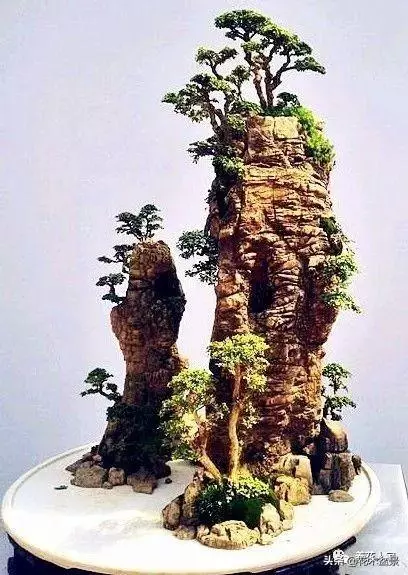 學會這招——山水盆景的製作,你就是大師了