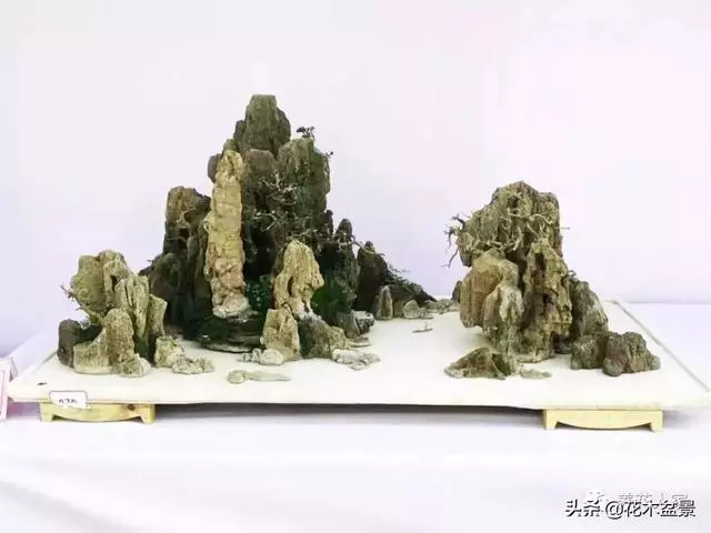 學會這招——山水盆景的製作,你就是大師了
