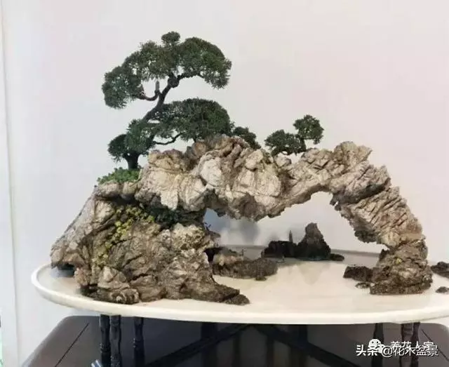 學會這招——山水盆景的製作,你就是大師了