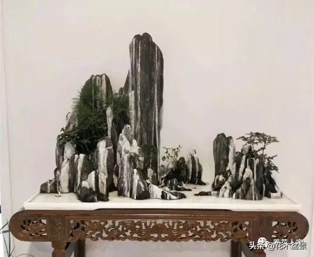 學會這招——山水盆景的製作,你就是大師了