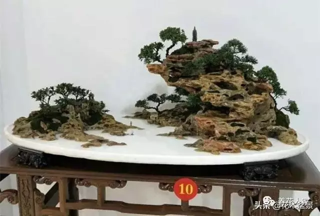 學會這招——山水盆景的製作,你就是大師了