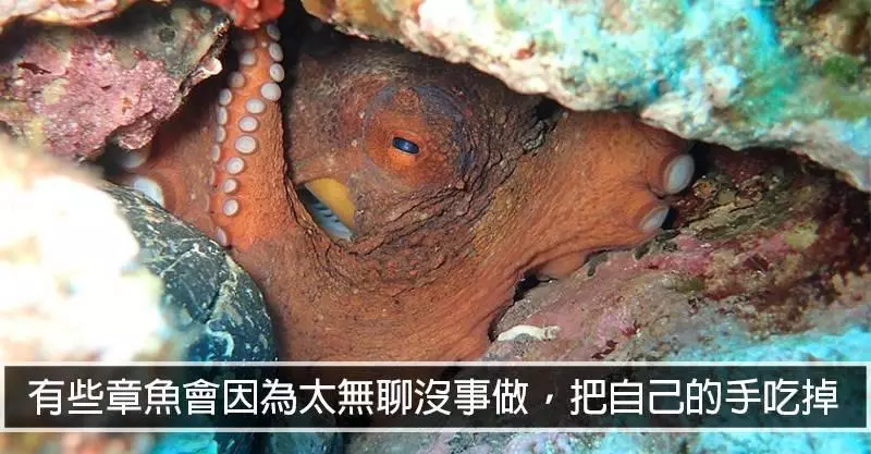 15個你我對這個世界還不夠了解的驚奇事實