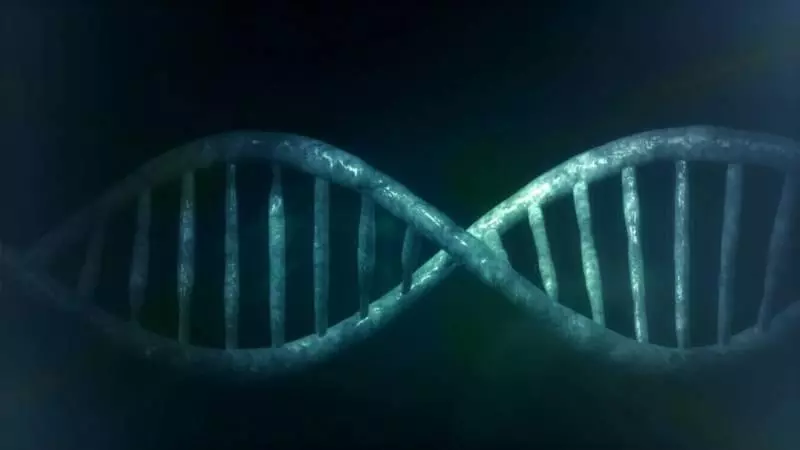15個你我對這個世界還不夠了解的驚奇事實