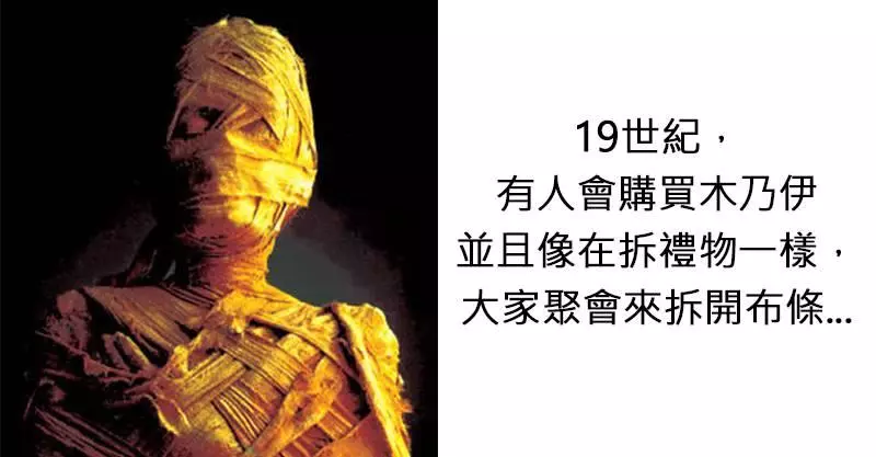 16個「刷新你對世界認知」的超荒謬冷知識 生命之初每個人「都是夏娃」!?