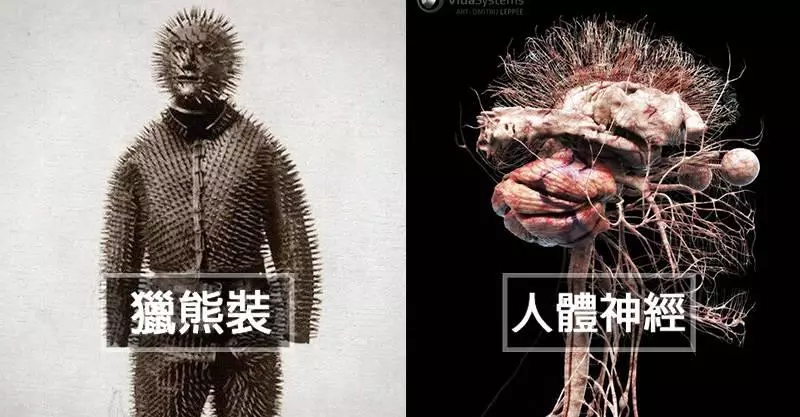 26個「直接讓你補滿腦袋空隙」的驚奇照 真正的惡魔之眼主人絕對是駱駝!