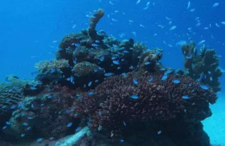 26個「直接讓你補滿腦袋空隙」的驚奇照 真正的惡魔之眼主人絕對是駱駝!