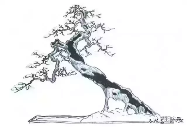 幹走蒼,枝走曲,葉走新!整出雞爪枝!