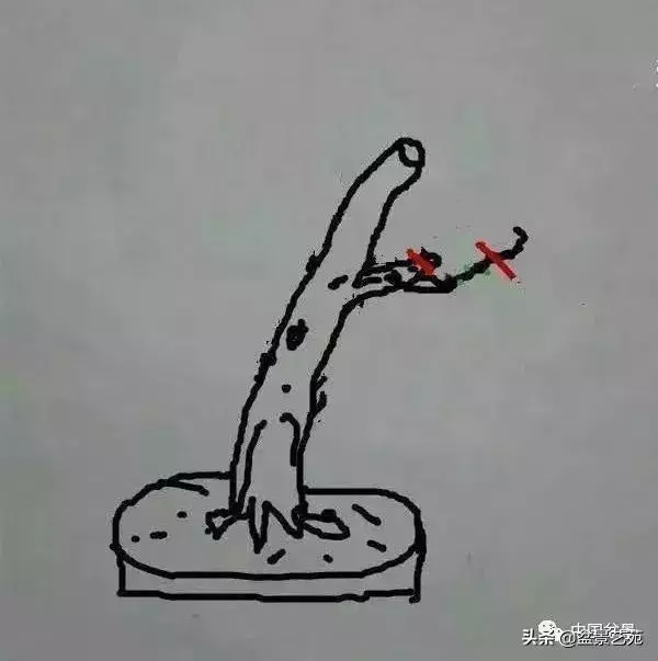 幹走蒼,枝走曲,葉走新!整出雞爪枝!