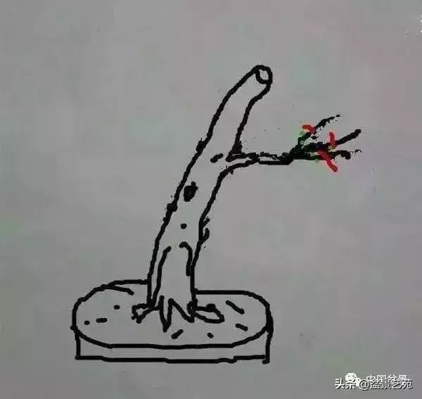 幹走蒼,枝走曲,葉走新!整出雞爪枝!