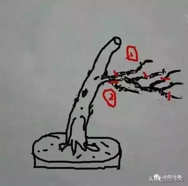 幹走蒼,枝走曲,葉走新!整出雞爪枝!
