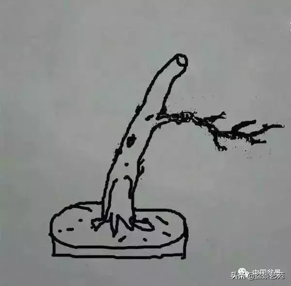幹走蒼,枝走曲,葉走新!整出雞爪枝!