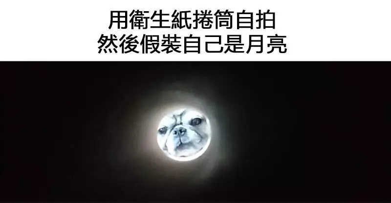 網爆紅一個衛生紙捲筒「把自己拍成月亮」挑戰 人類版本也太詭異啦!