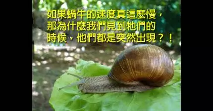 18個你在洗澡時才會腦袋清楚到能想到的爆笑真相。~~~