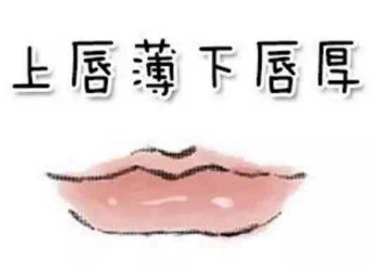 上嘴唇代表「情」,下嘴唇代表「欲」,嘴唇的薄厚確定你運勢的好壞
