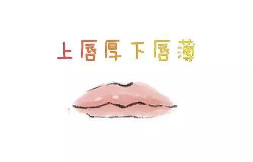 上嘴唇代表「情」,下嘴唇代表「欲」,嘴唇的薄厚確定你運勢的好壞