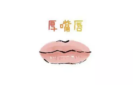 上嘴唇代表「情」,下嘴唇代表「欲」,嘴唇的薄厚確定你運勢的好壞