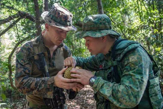 美國大兵新加坡叢林續命必備技能——學會吃榴槤