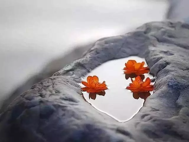 你不發生點爛事,永遠看不清身邊人的模樣,是人是狗