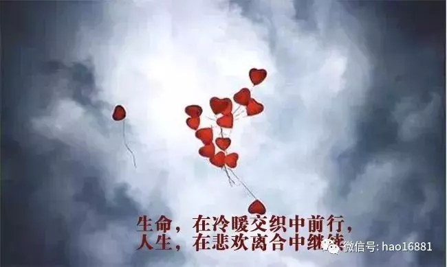 你不發生點爛事,永遠看不清身邊人的模樣,是人是狗