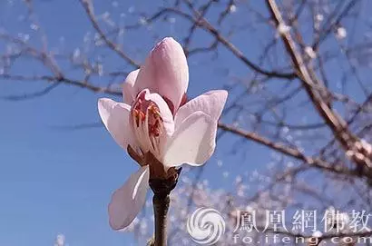 飯後做這4件事,不僅不養生,而且很!傷!身!