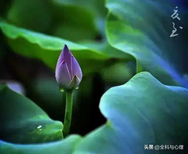 佛說:人到絕境是重生