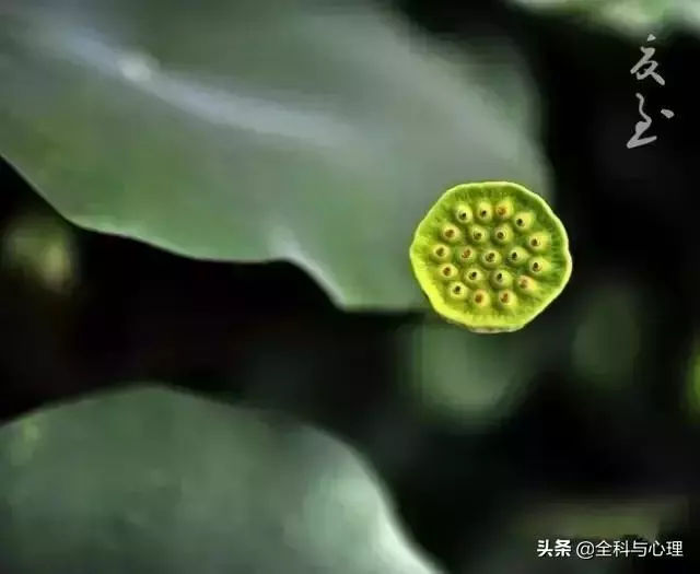 佛說:人到絕境是重生