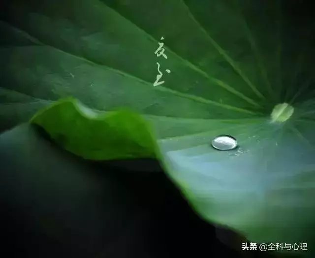 佛說:人到絕境是重生