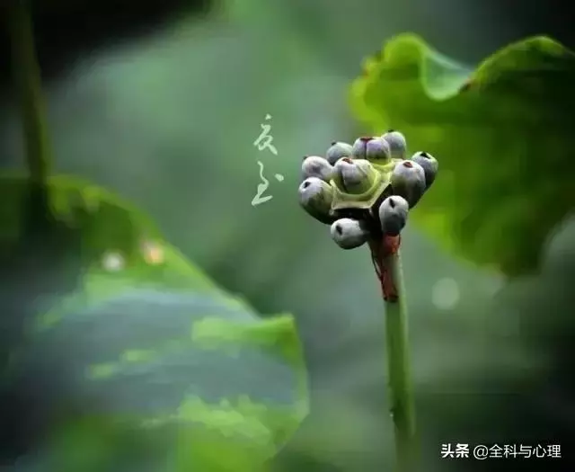 佛說:人到絕境是重生