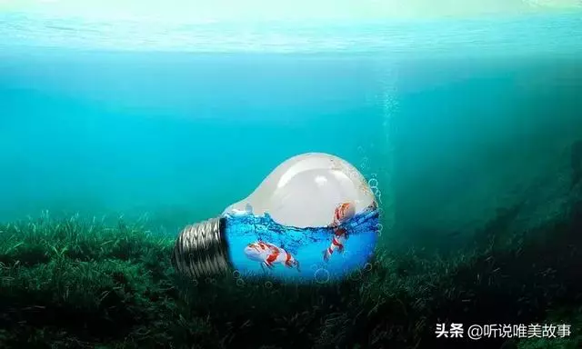 有空給孩子講講三條魚的故事吧!