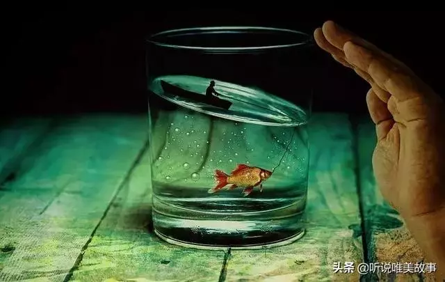 有空給孩子講講三條魚的故事吧!