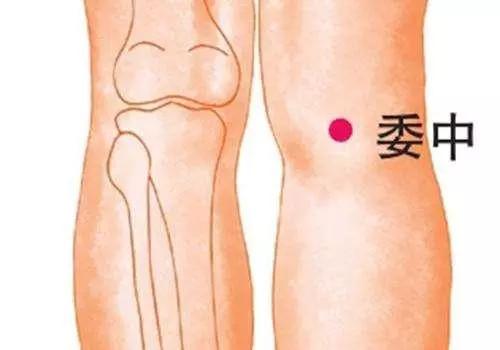 用對這個穴位,可調治「一切內症」