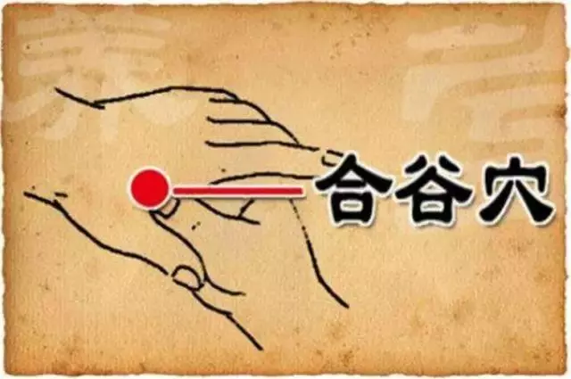 春天排毒,艾灸五穴,拔五臟之邪氣!