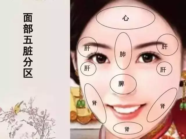 中醫望診《望神色形態》