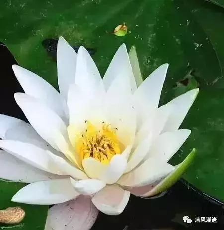 人窮三分冷,心窮七分苦!寫的好真實!